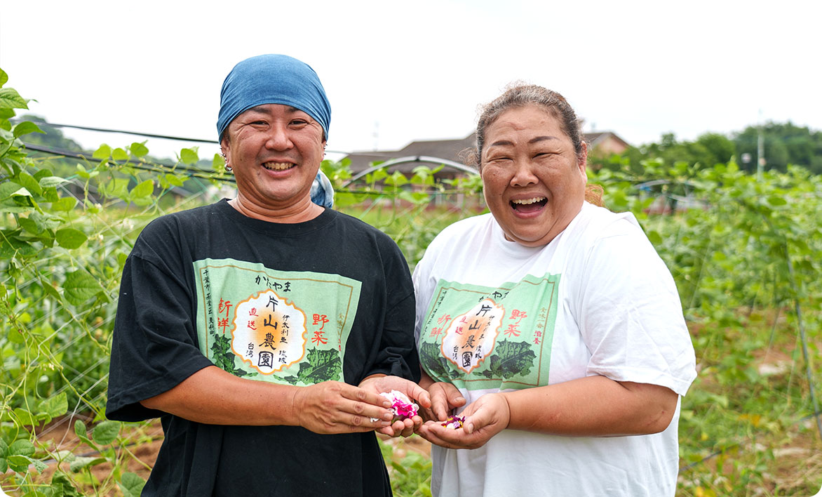 千葉市若葉区　片山農園